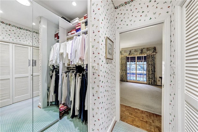 spacious closet with carpet