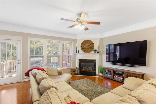 living room featuring wood-type flooring, a healthy amount of sunlight, crown molding, and ceiling fan