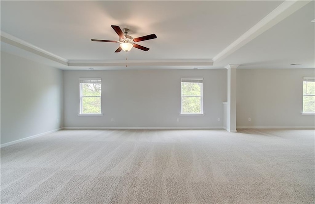 unfurnished room with a tray ceiling, a healthy amount of sunlight, and light colored carpet