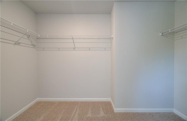 spacious closet with carpet floors