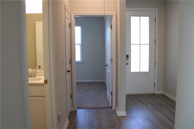 entryway featuring dark hardwood / wood-style flooring and sink