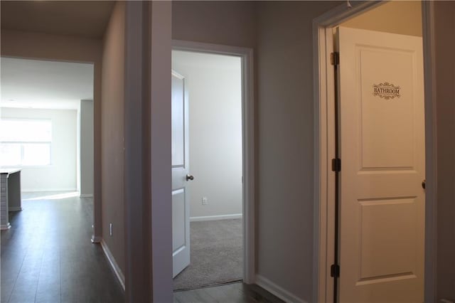 corridor featuring dark hardwood / wood-style flooring