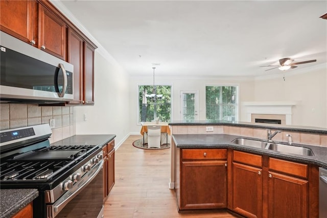 kitchen featuring tasteful backsplash, sink, light hardwood / wood-style flooring, appliances with stainless steel finishes, and ornamental molding