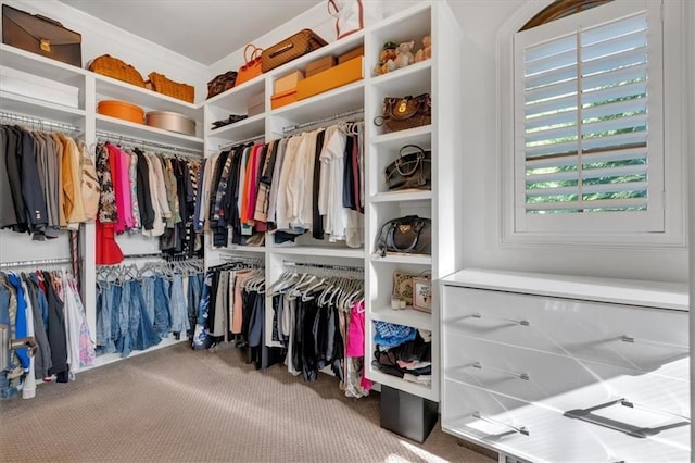 89 Somerset Ln, Cartersville, GA 30121 - spacious closet with carpet floors