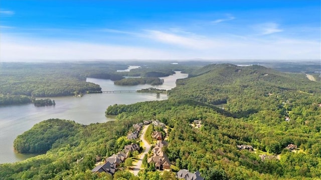 89 Somerset Ln, Cartersville, GA 30121 - aerial view of a forest and a large body of water