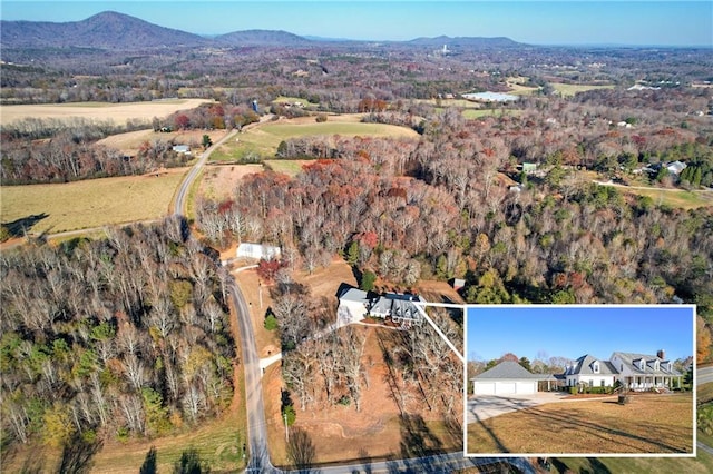 birds eye view of property featuring a mountain view