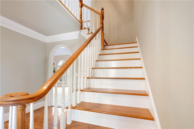 stairs with hardwood / wood-style floors and ornamental molding