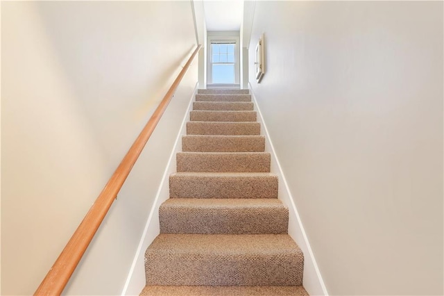 stairs featuring carpet