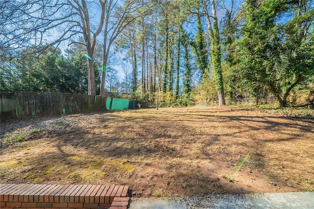 2725 Rainbow Forest Dr, Decatur, GA 30034 - view of yard