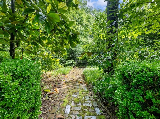 2910 Waverly Place Dr, Dacula, GA 30019 - view of local wilderness