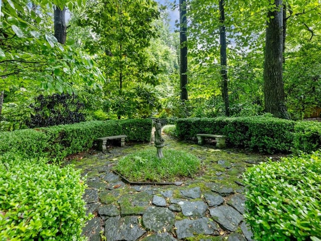 2910 Waverly Place Dr, Dacula, GA 30019 - view of yard