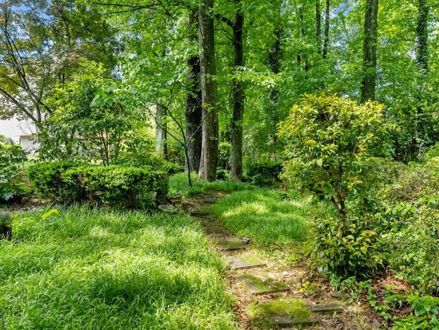 2910 Waverly Place Dr, Dacula, GA 30019 - view of undeveloped land