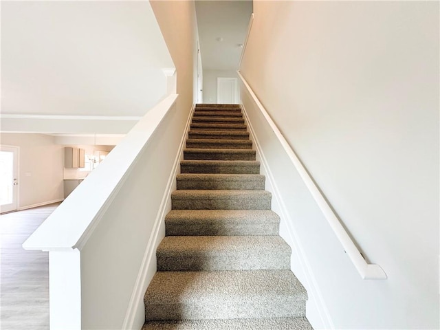 stairway with a towering ceiling and wood finished floors