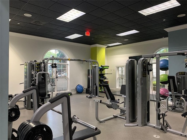 gym featuring a paneled ceiling and ornamental molding