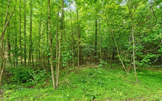 6755 Jake Kemp Rd, Murrayville, GA 30564