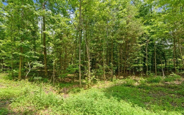 6755 Jake Kemp Rd, Murrayville, GA 30564