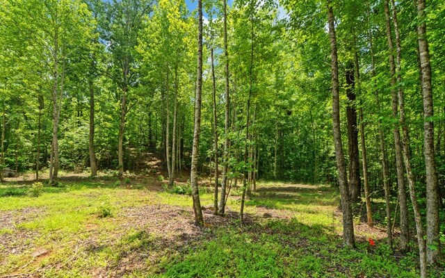 6755 Jake Kemp Rd, Murrayville, GA 30564