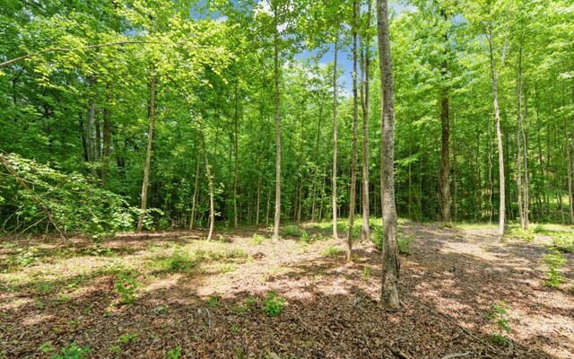 6755 Jake Kemp Rd, Murrayville, GA 30564