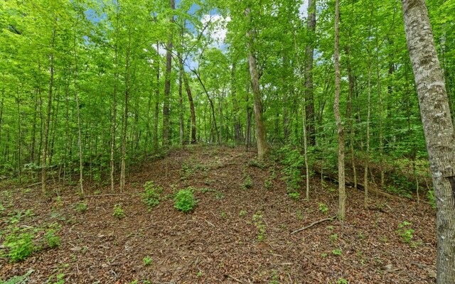 6755 Jake Kemp Rd, Murrayville, GA 30564