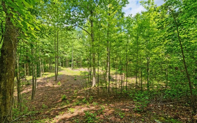 6755 Jake Kemp Rd, Murrayville, GA 30564