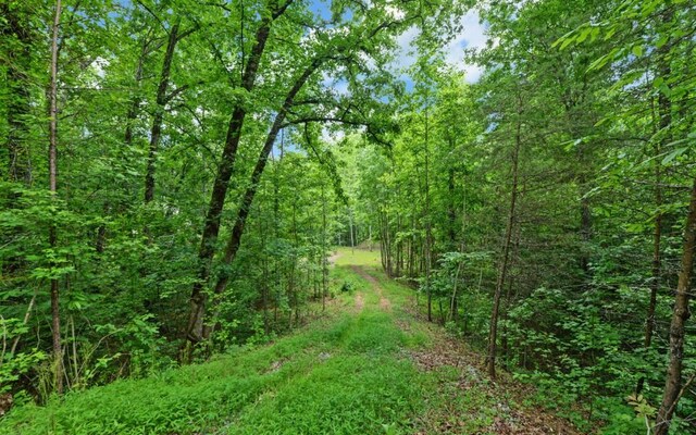 6755 Jake Kemp Rd, Murrayville, GA 30564