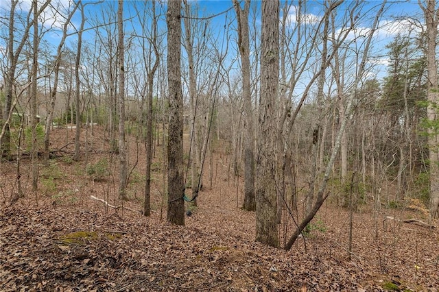 view of nature featuring a view of trees