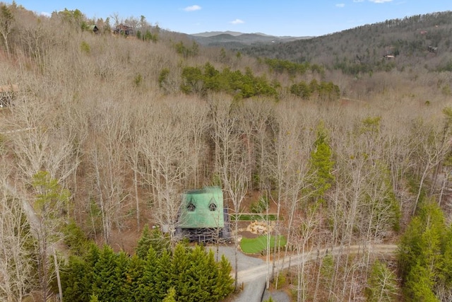 drone / aerial view with a mountain view