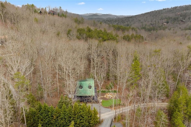 bird's eye view with a mountain view