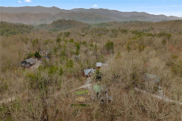 aerial view with a mountain view