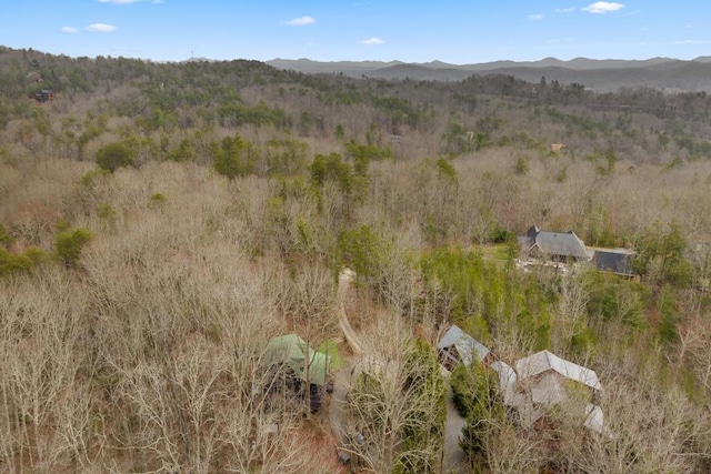 birds eye view of property featuring a mountain view