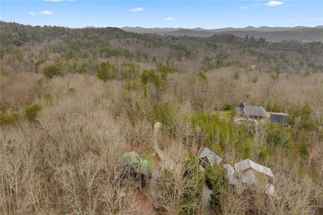 bird's eye view with a mountain view