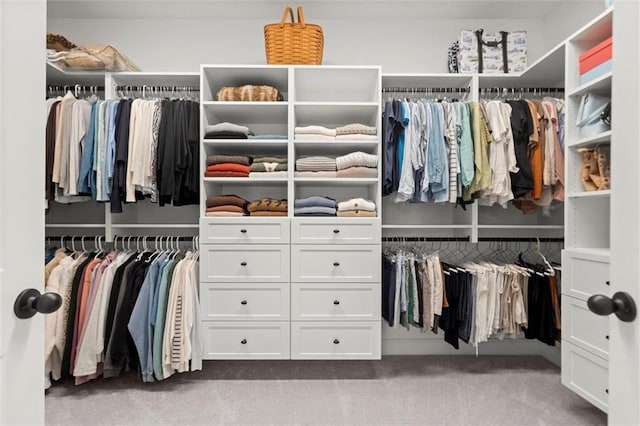635 Opera Ln, Alpharetta, GA 30009 - spacious closet with carpet