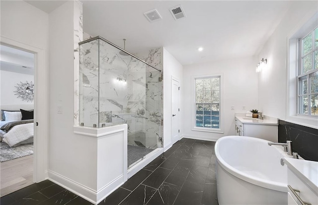 bathroom with plenty of natural light, independent shower and bath, and vanity