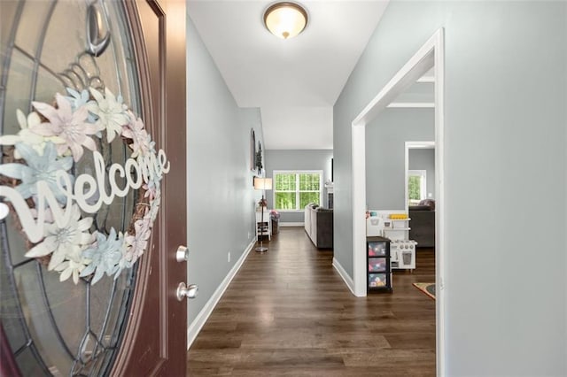 corridor featuring dark wood-type flooring