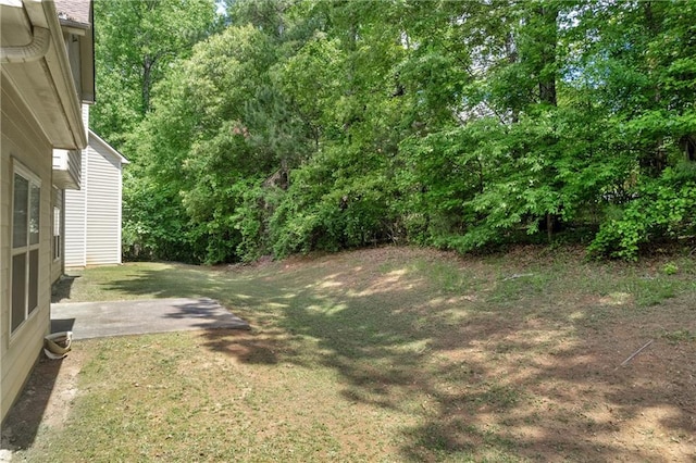 view of yard