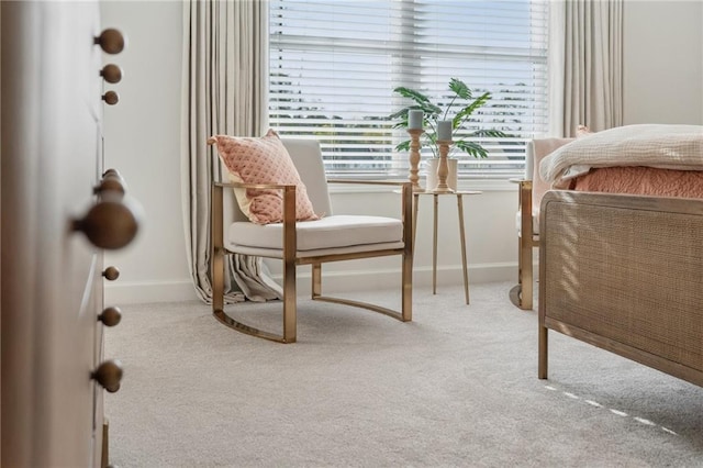 440 Carrera Ln, Acworth, GA 30102 - carpeted bedroom with baseboards