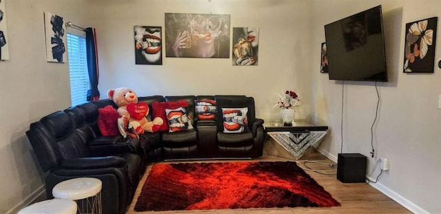 home theater room featuring wood-type flooring