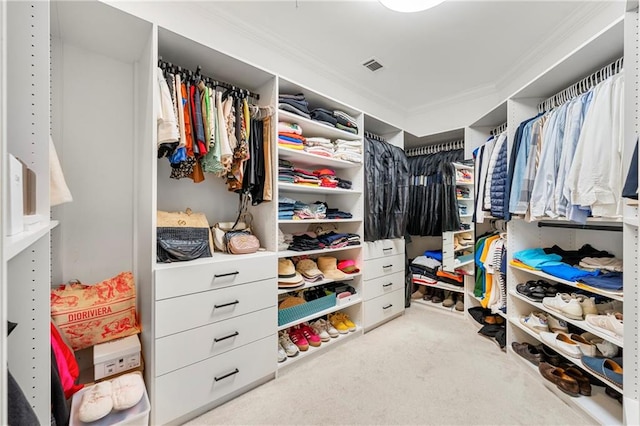 walk in closet with carpet