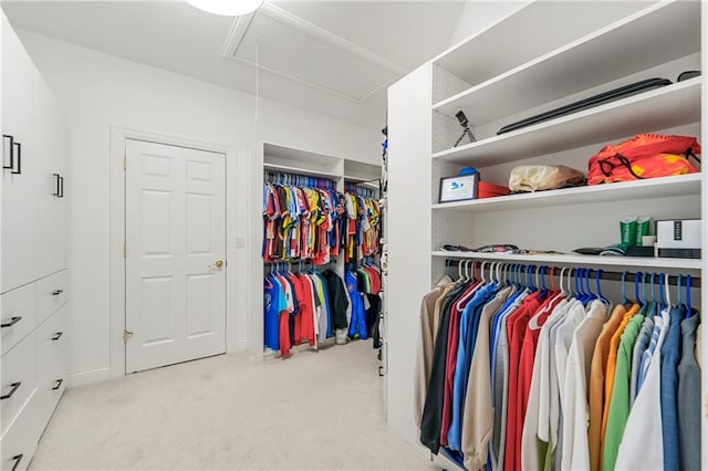 spacious closet featuring light colored carpet