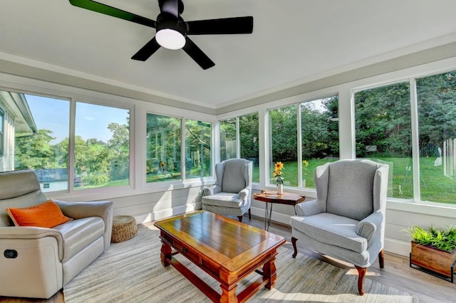 5441 E Main St, Flowery Branch, GA 30542 - sunroom / solarium with wood finished floors