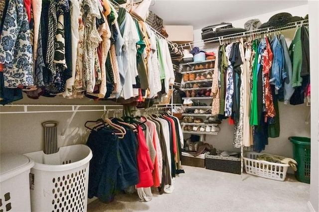 spacious closet featuring carpet floors