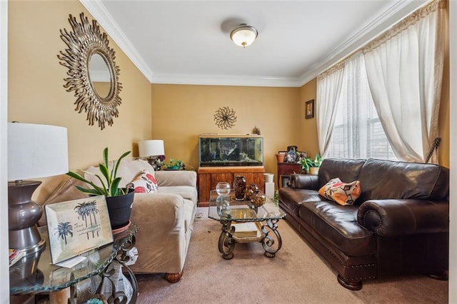 carpeted living room with ornamental molding