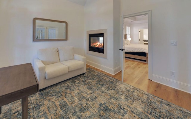 living room featuring hardwood / wood-style floors