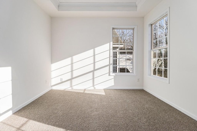 carpeted spare room featuring a tray ceiling, baseboards, and ornamental molding