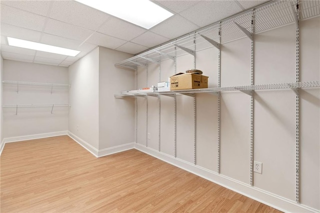 walk in closet with light wood-type flooring and a paneled ceiling