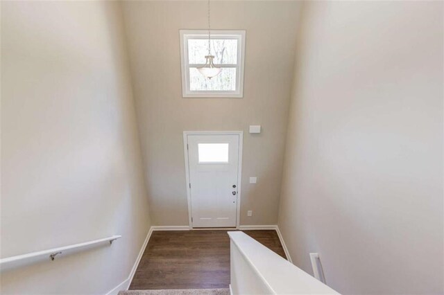 doorway to outside with a wealth of natural light and dark hardwood / wood-style flooring