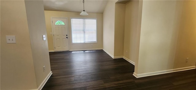 entrance foyer featuring dark wood-type flooring