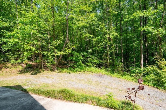 465 Willowbrook Dr SE, Smyrna, GA 30082 - view of yard with a view of trees