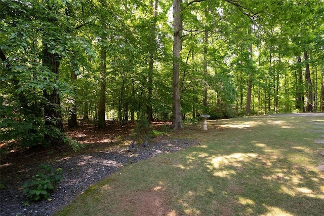465 Willowbrook Dr SE, Smyrna, GA 30082 - view of yard featuring a forest view