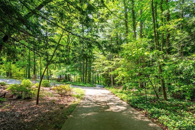 465 Willowbrook Dr SE, Smyrna, GA 30082 - surrounding community with a wooded view